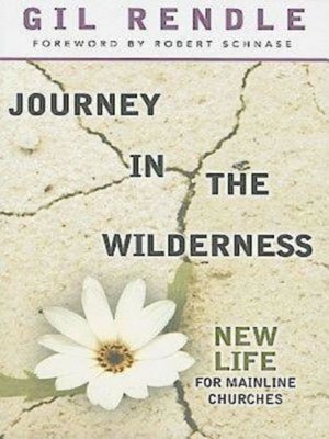 cover image of Journey in the Wilderness